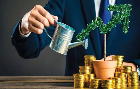 Wealth Management