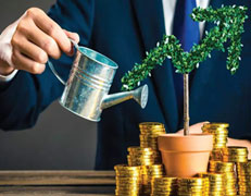 Wealth Management