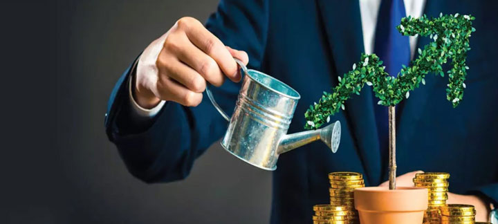 Wealth Management